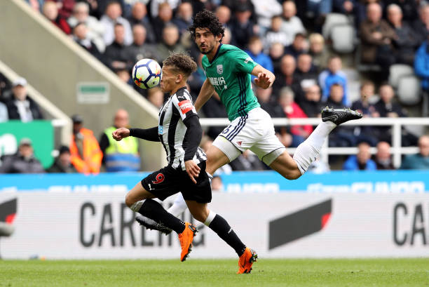 表现吸引了 表现吸引了